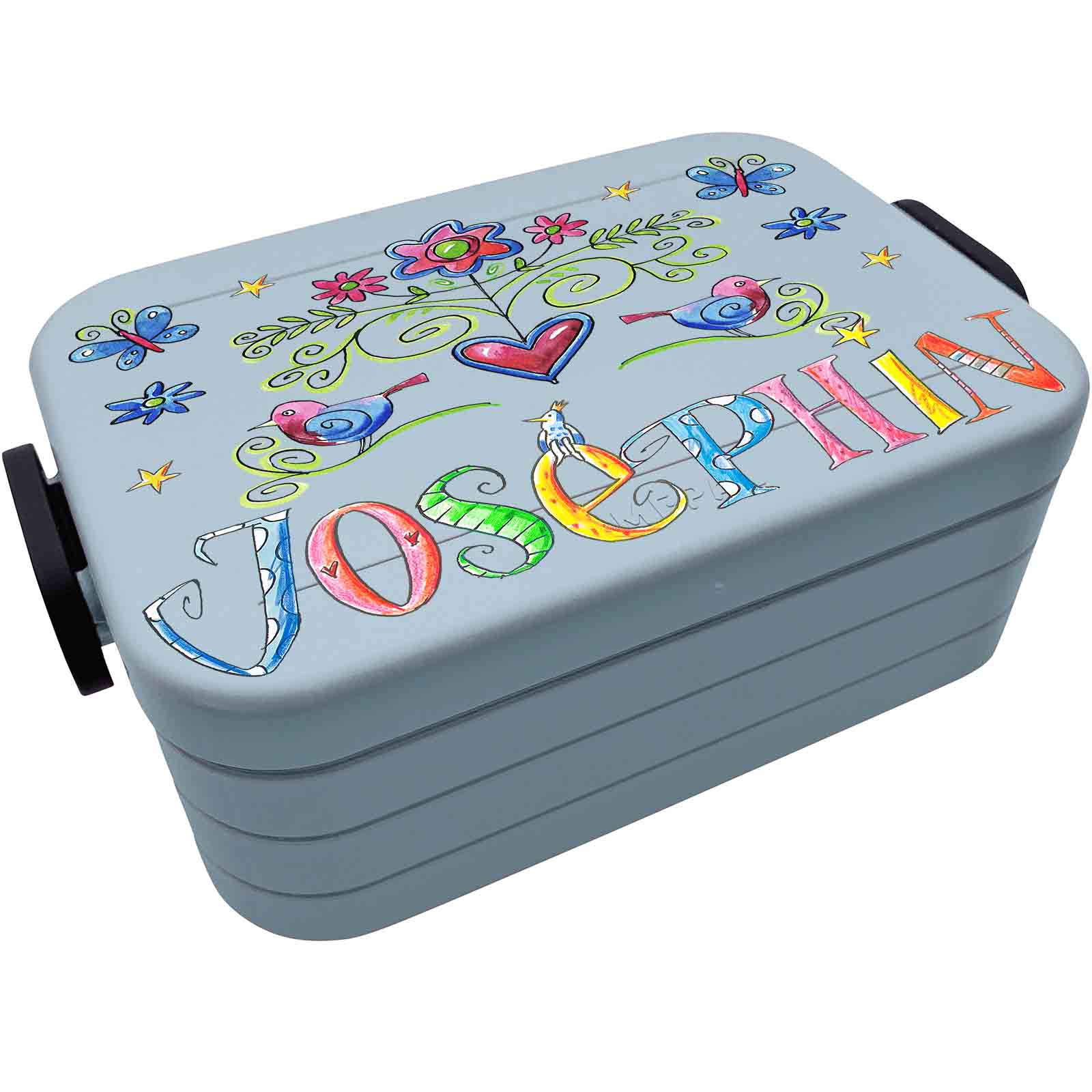 Lunchbox Vogel