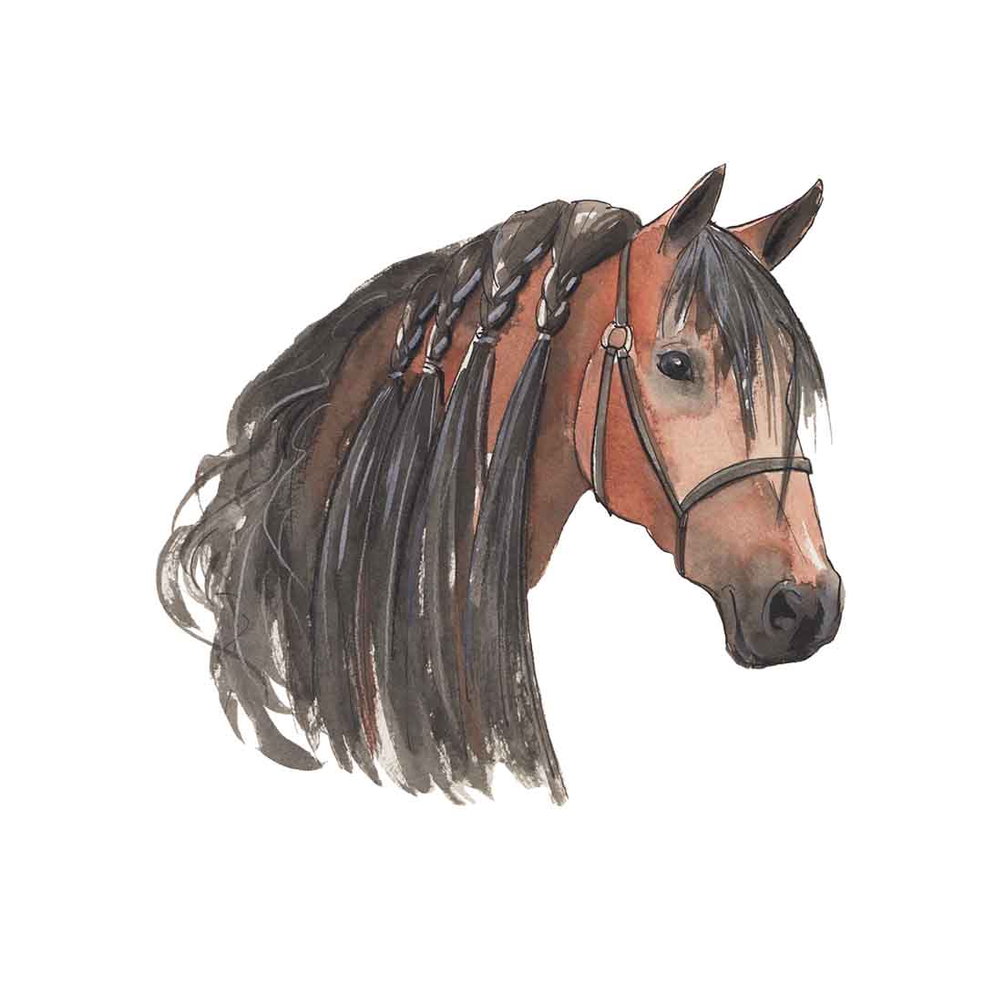 Pferdekopf dunkelbraun