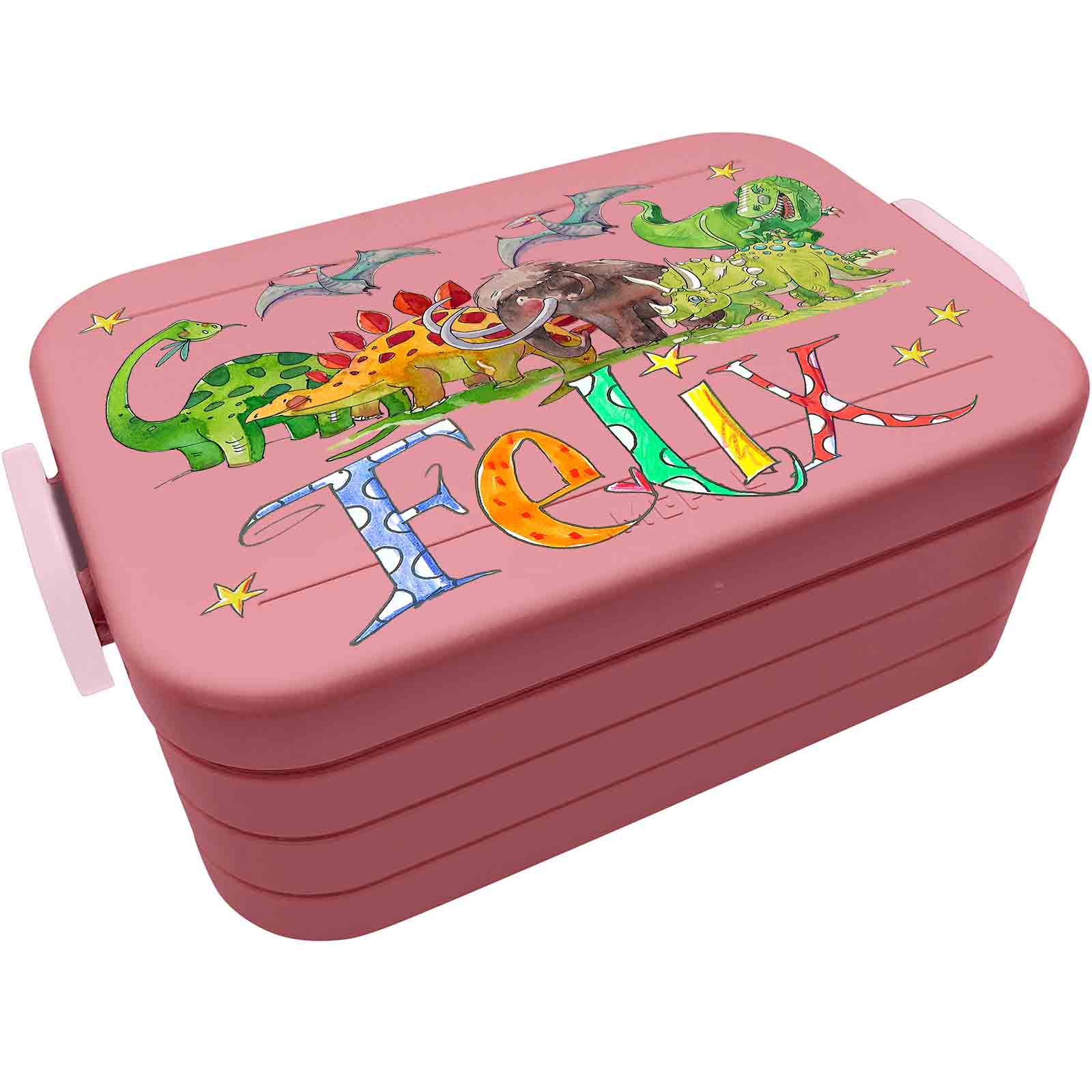 Lunchbox Dino6